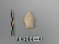 藏品(打製帶鋌石鏃)的圖片